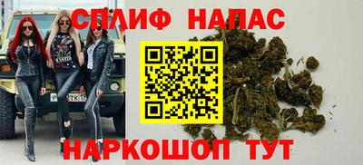 стаф Шахты