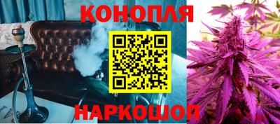 стаф Шахты